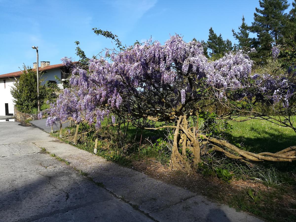 Casa Rural Miamendi Larrabetzu Εξωτερικό φωτογραφία